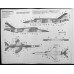 Hasegawa 1:72 Японский истребитель-бомбардировщик Mitsubishi F-1 "8SQ Special Painting". № 00178 Hasegawa 1:72 Японский истребитель-бомбардировщик Mitsubishi F-1 "8SQ Special Painting". № 00178
