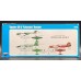 Novo 1:72 Советский скоростной фронтовой бомбардировщик АНТ-40 (СБ). № F176